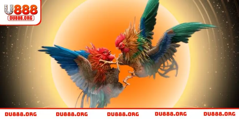 Cơ chế trả thưởng cao và an toàn cho hội viên