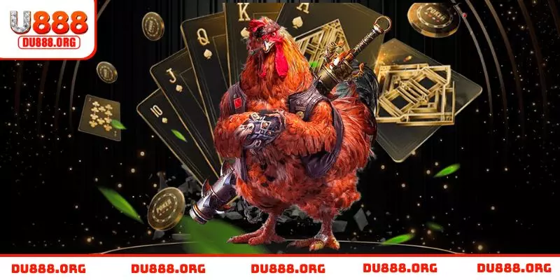 Hình thức chọi cựa sắt