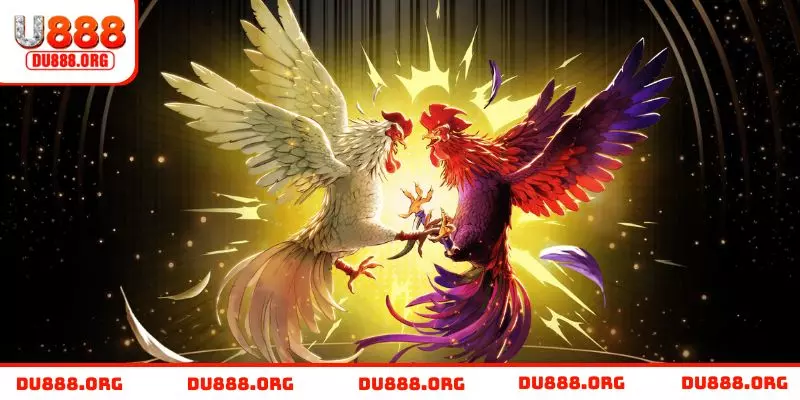 Tiện ích vượt trội của sảnh đá gà U888